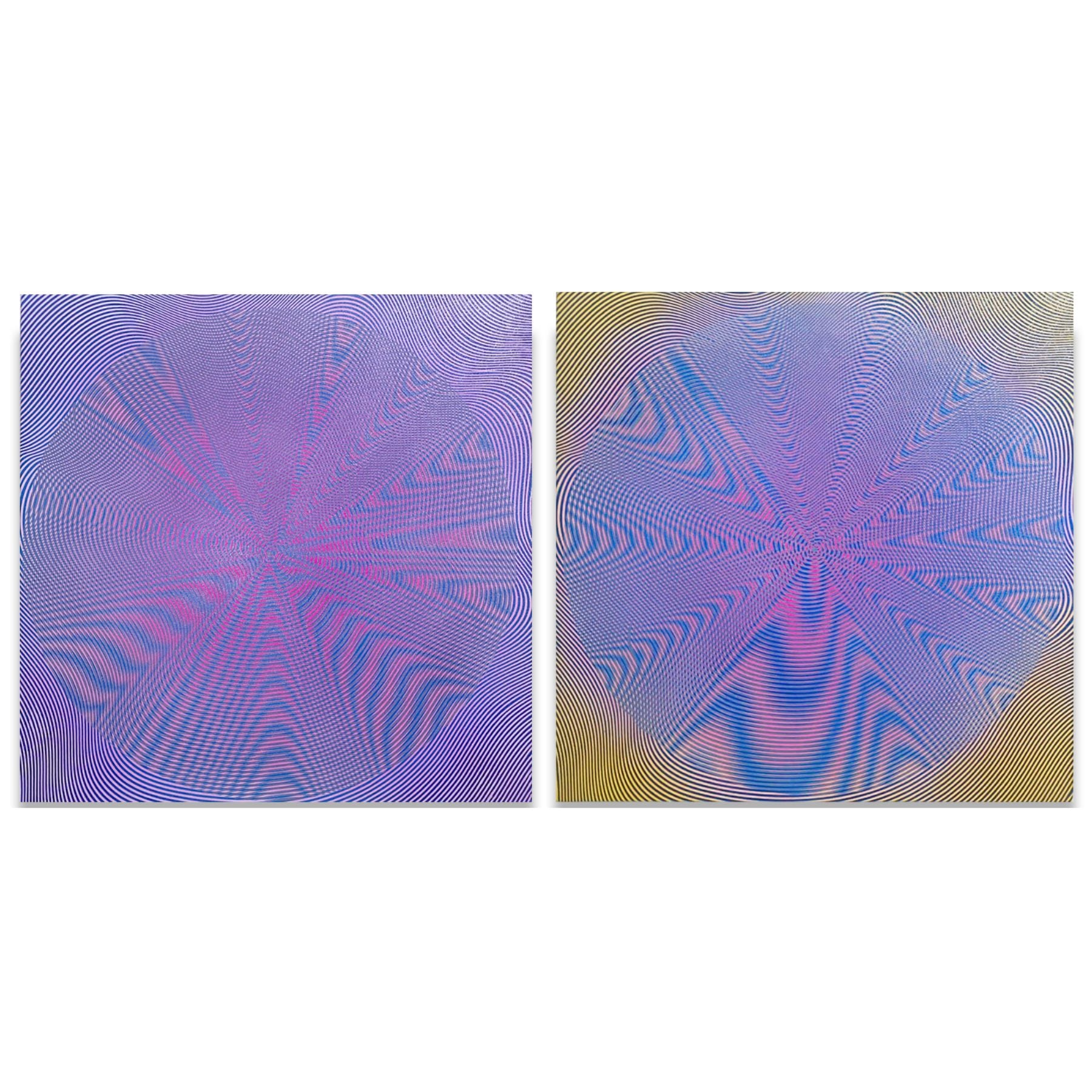 Through Rose Coloured Glasses (Diptych) by Ashna Malik - Method