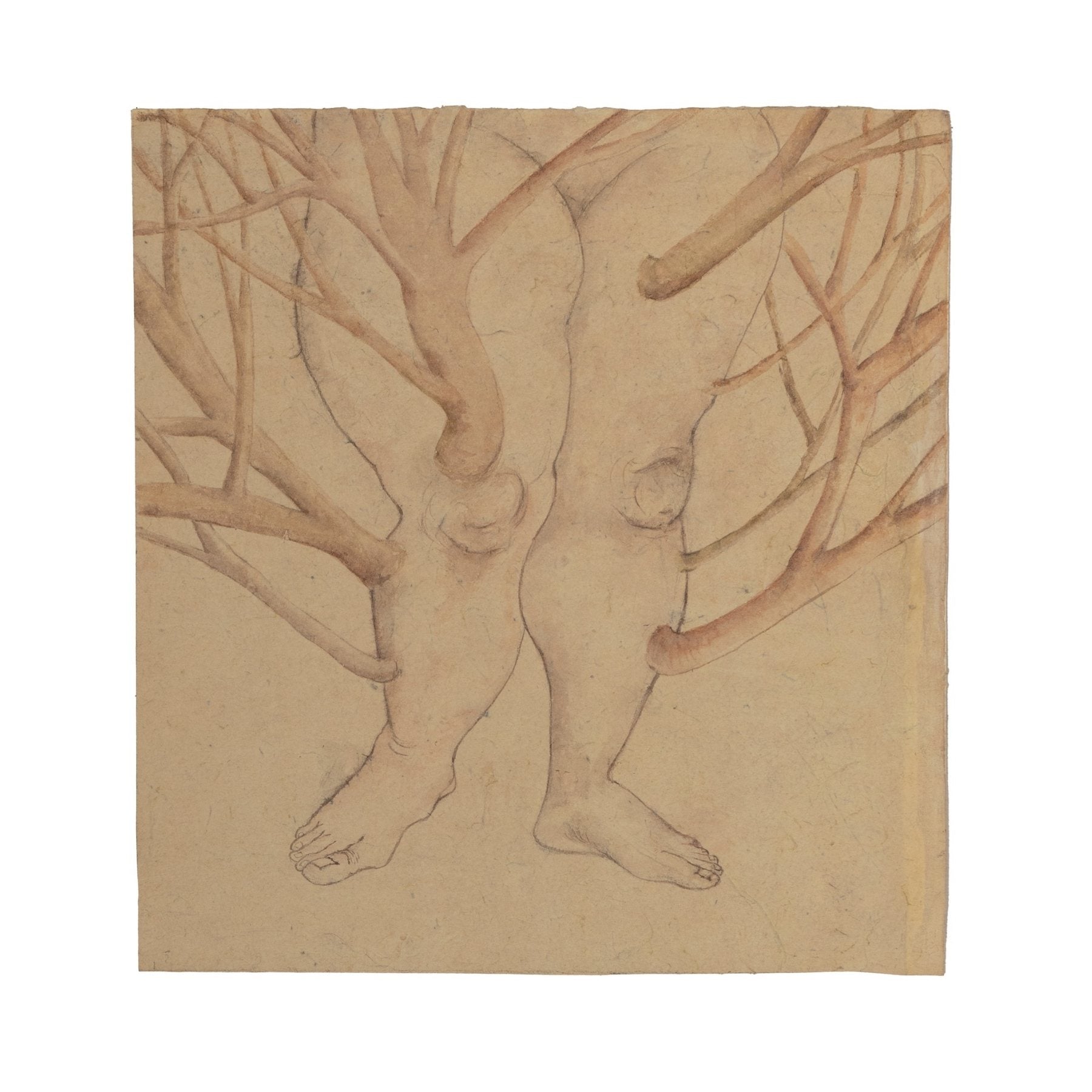 Branches Will Grow Fruit by Mitali Das