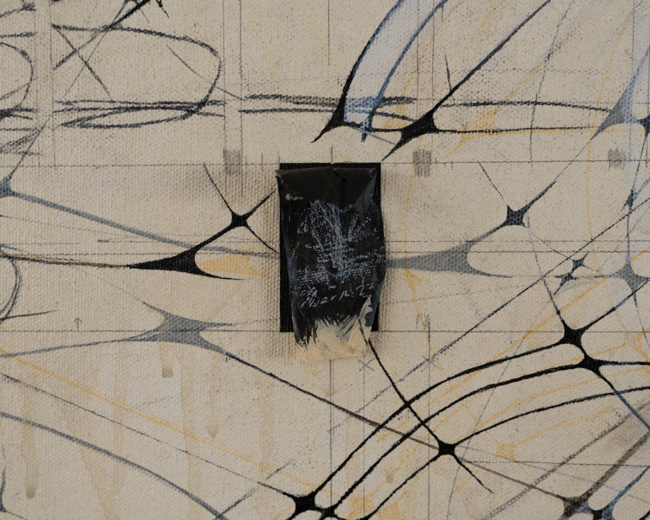 A Chorister Whose C Preceded The Choir by Darshika Singh