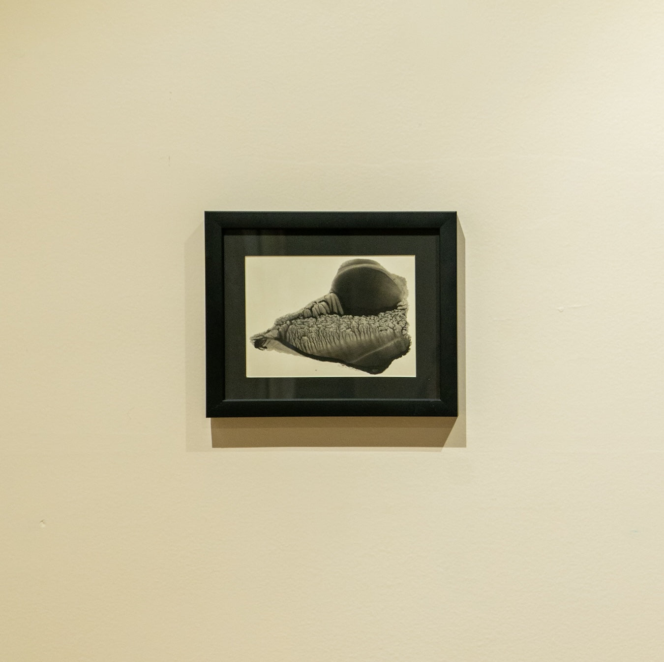 टान्डो Tandoo An Imaginative Landscape by Dheeraj Jadhav