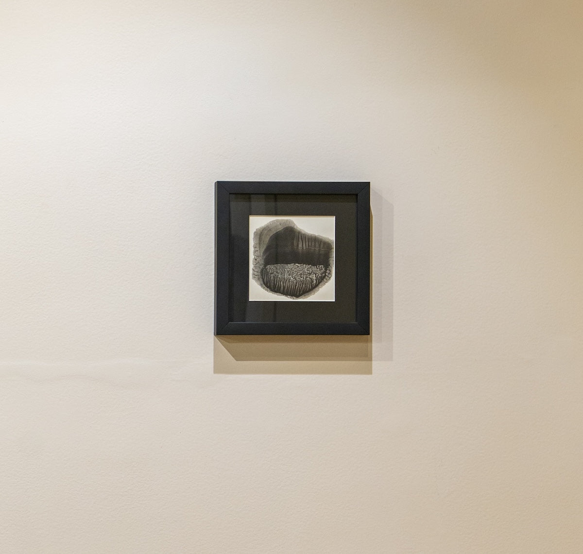 Trees In A Pond by Dheeraj Jadhav