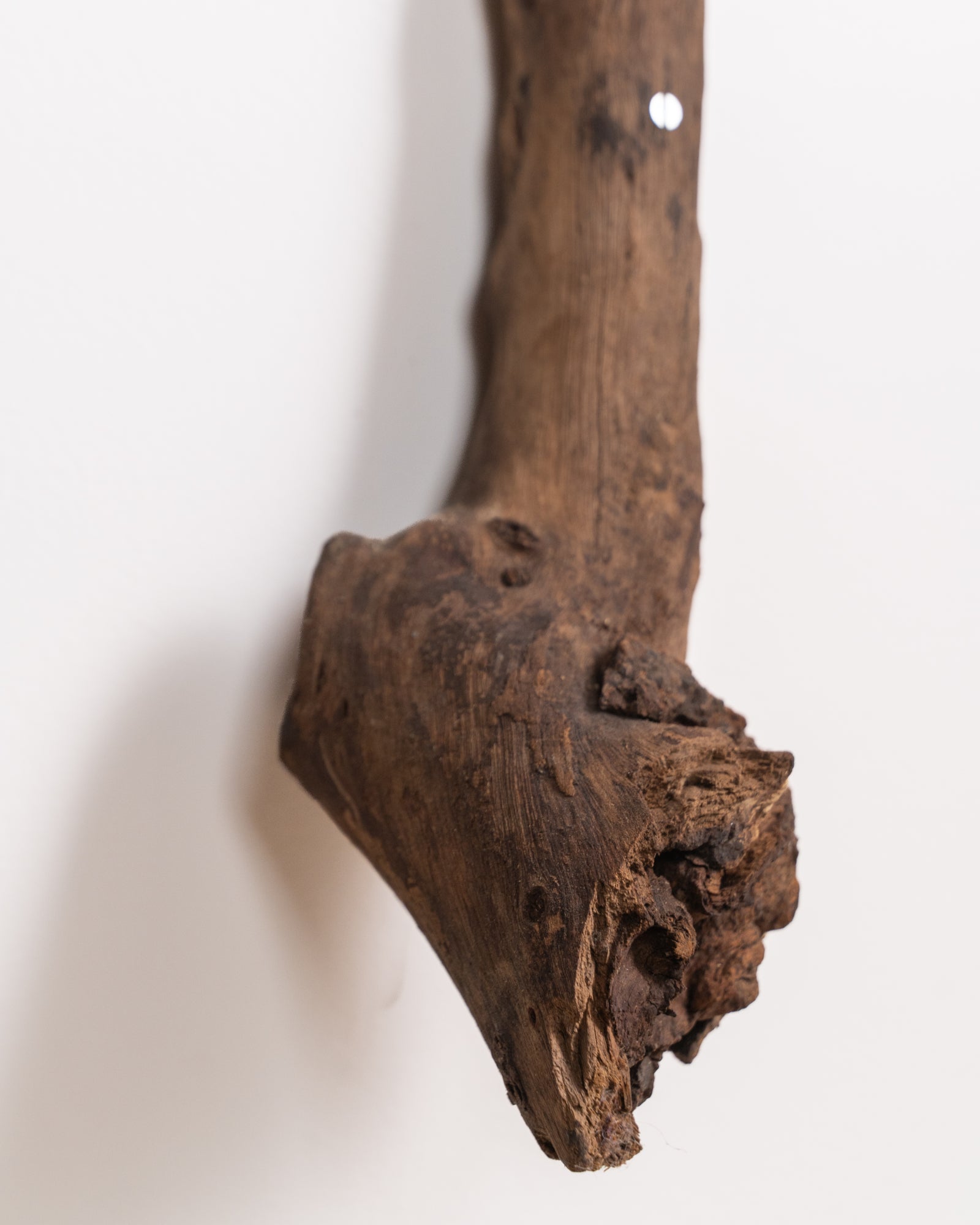 Two Bodies, One Silence  by Arun B