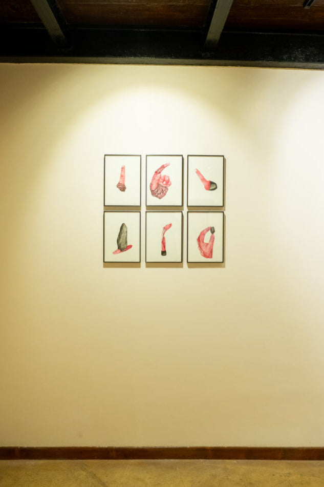 Demographics (Set of 6) by Anurag Basak