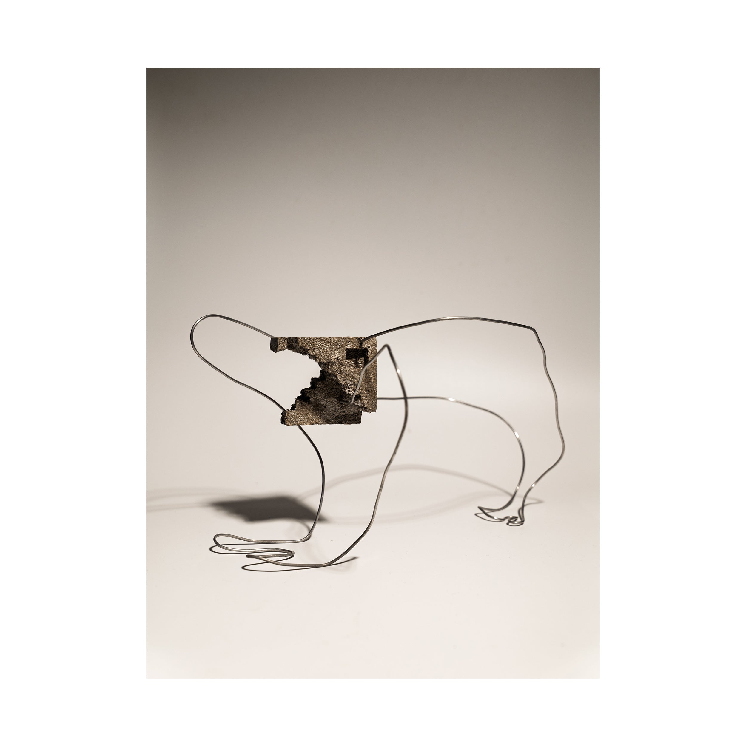 First Steps by Dheer Kaku