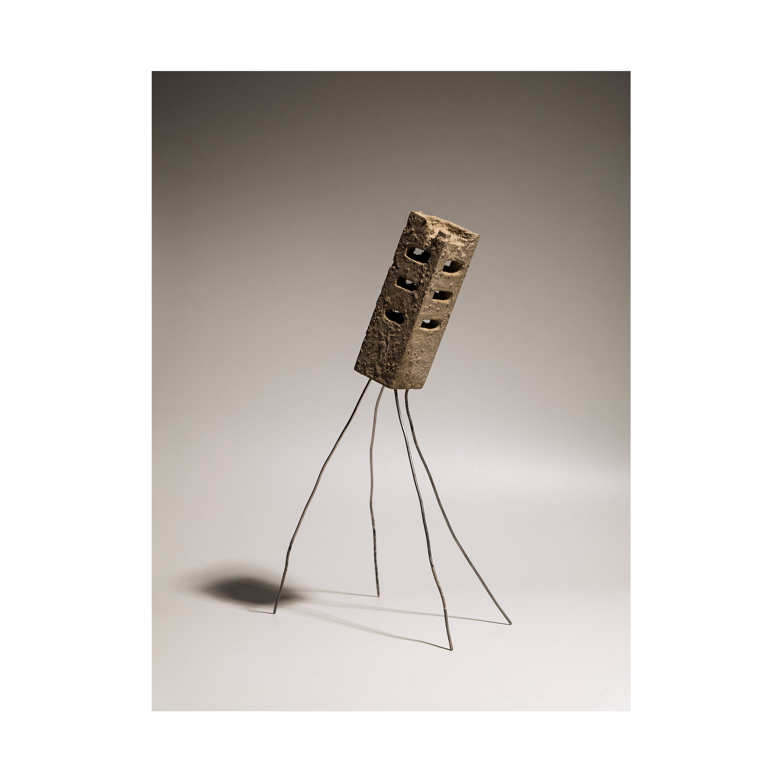 Settler by Dheer Kaku