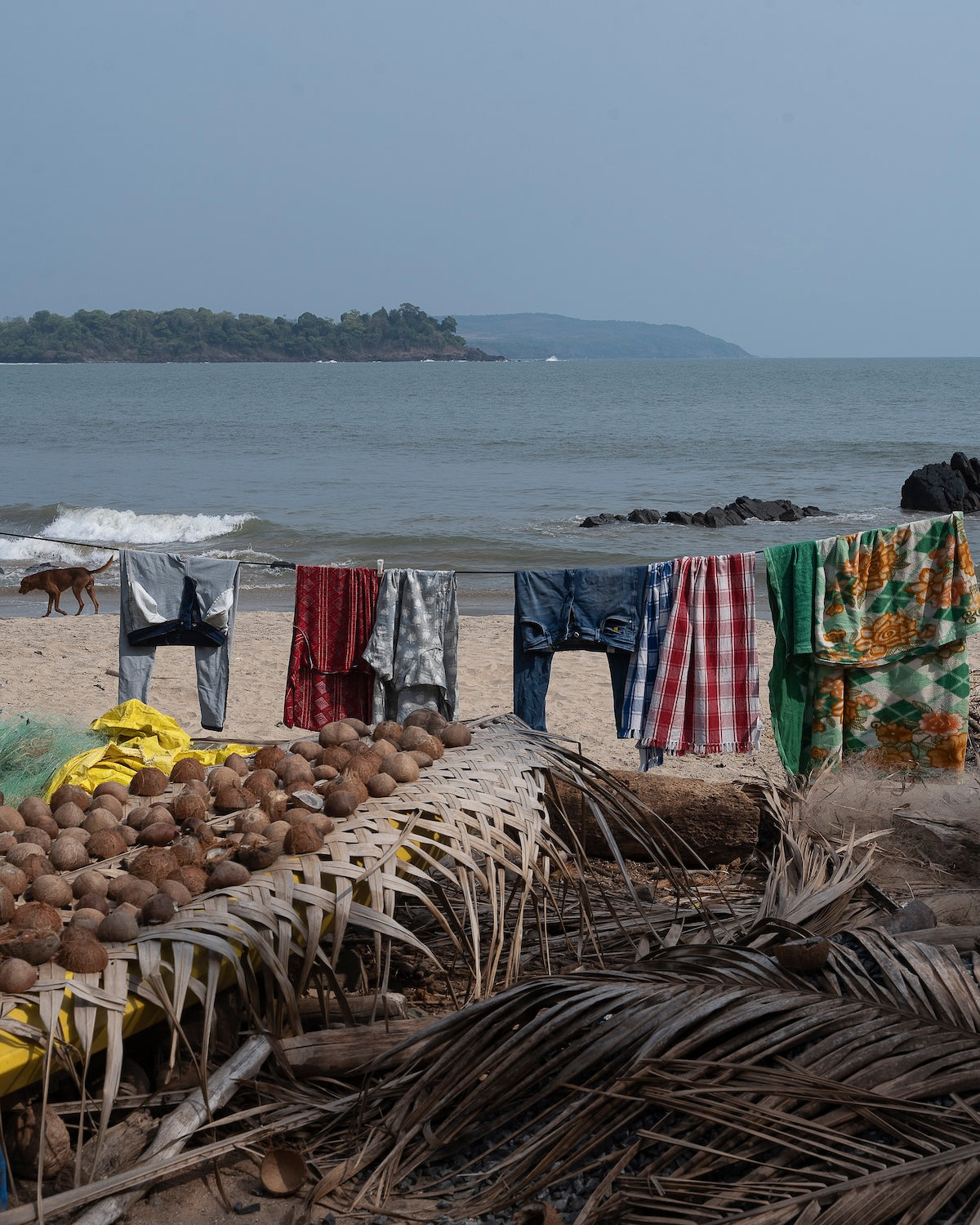 Drying Coconuts and Clothes, Patnem by Karan Khosla - Method