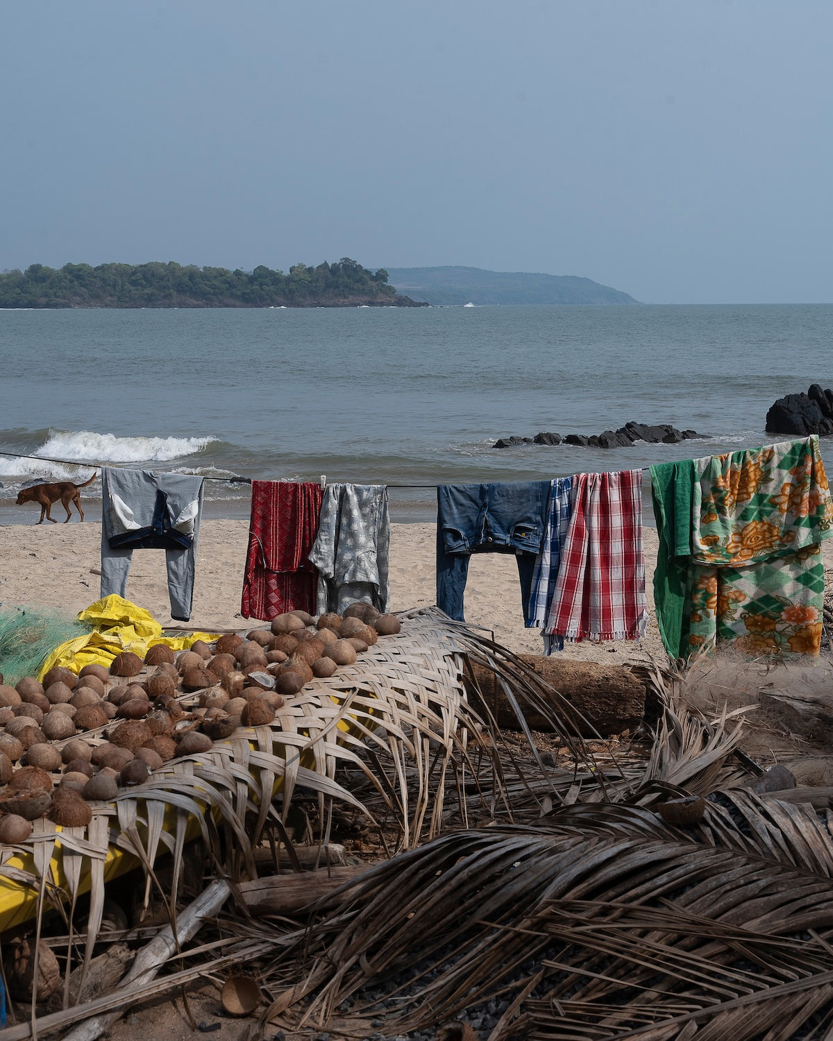 Drying Coconuts and Clothes, Patnem by Karan Khosla