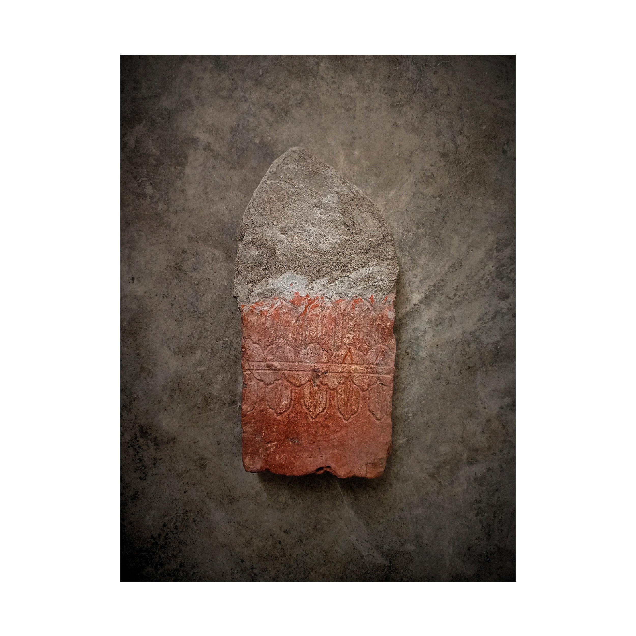 Fighting for Existence (Gate Series - Set of 8) by Syed Ali Sarvat Jafri