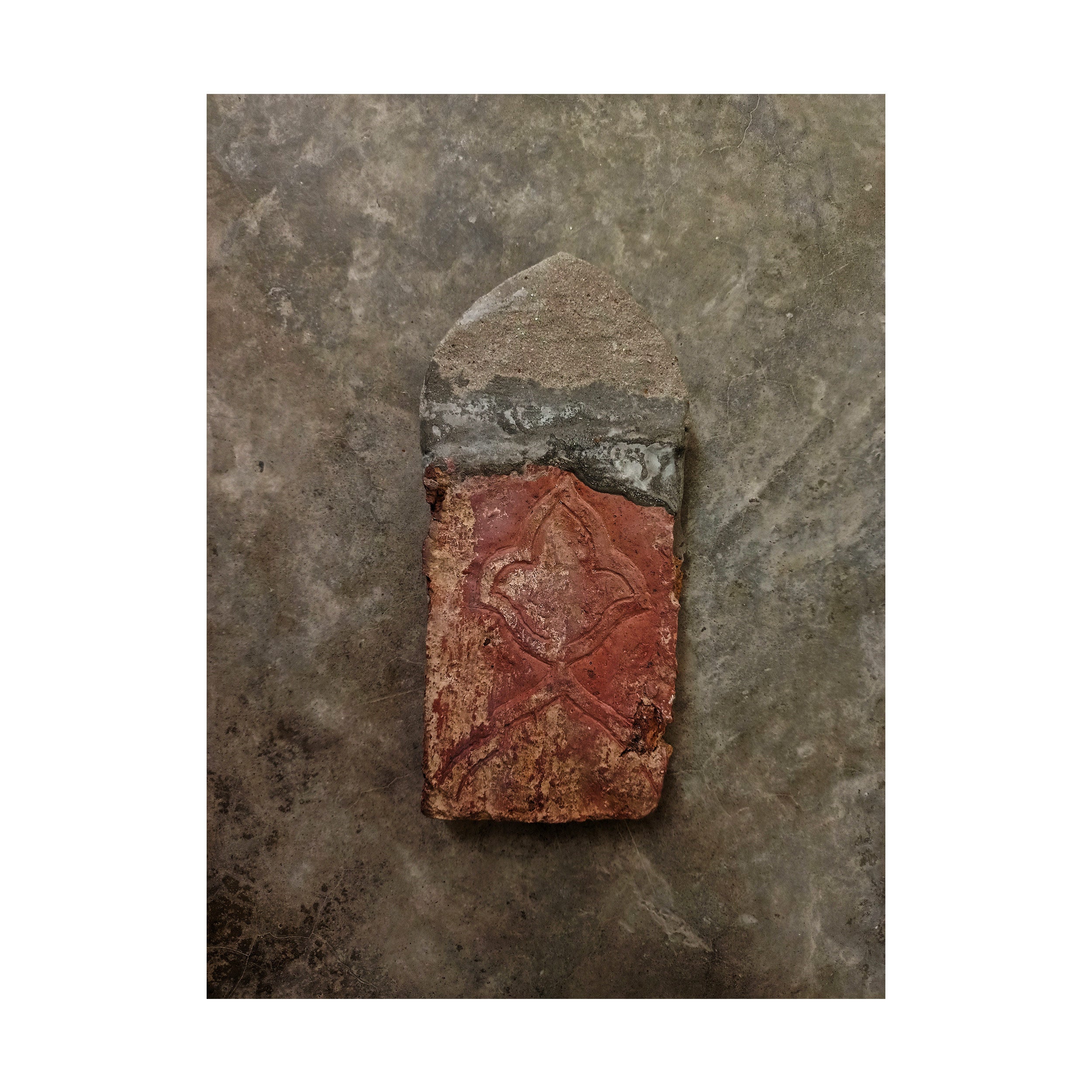 Fighting for Existence (Gate Series - Set of 8) by Syed Ali Sarvat Jafri