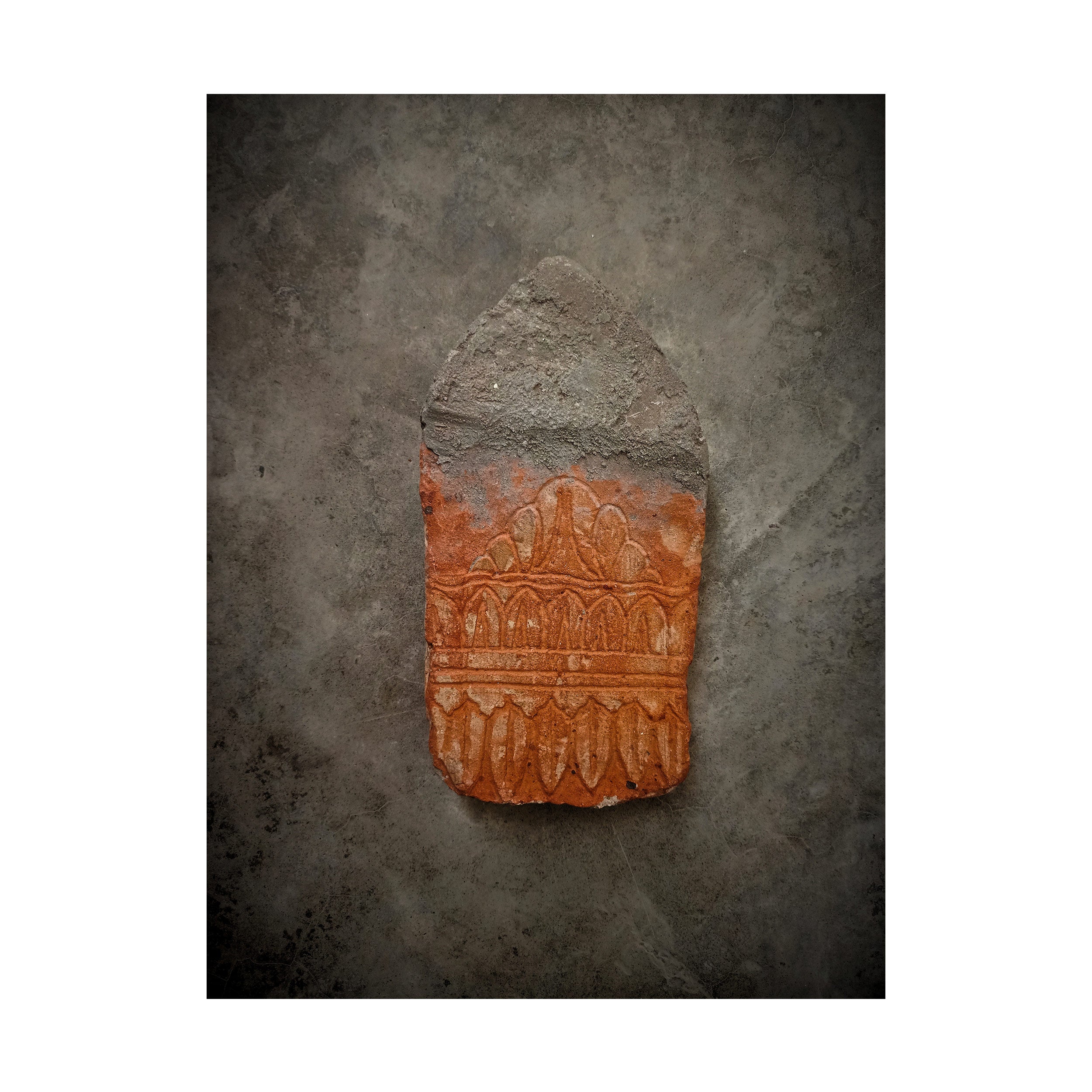 Fighting for Existence (Gate Series - Set of 8) by Syed Ali Sarvat Jafri