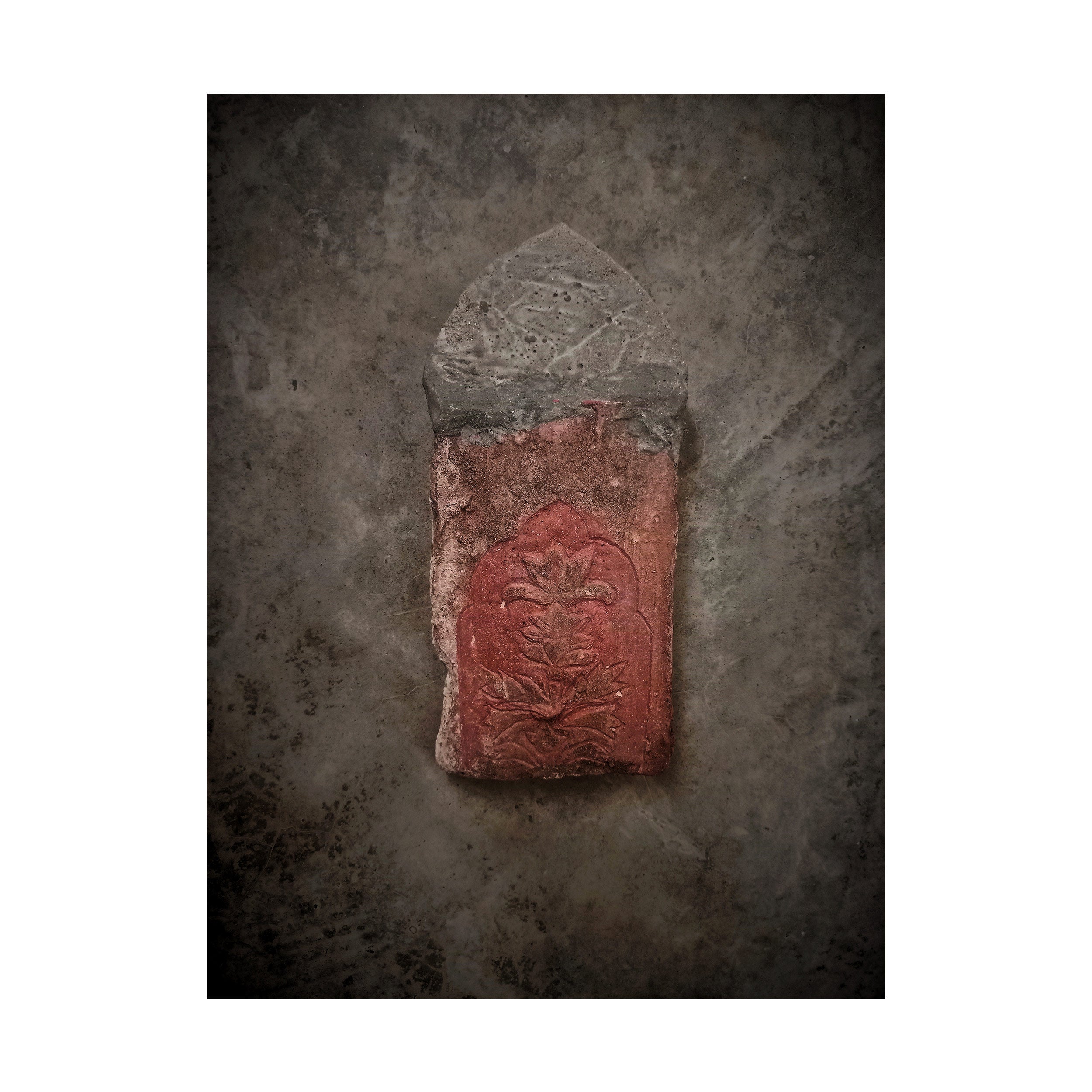 Fighting for Existence (Gate Series - Set of 8) by Syed Ali Sarvat Jafri