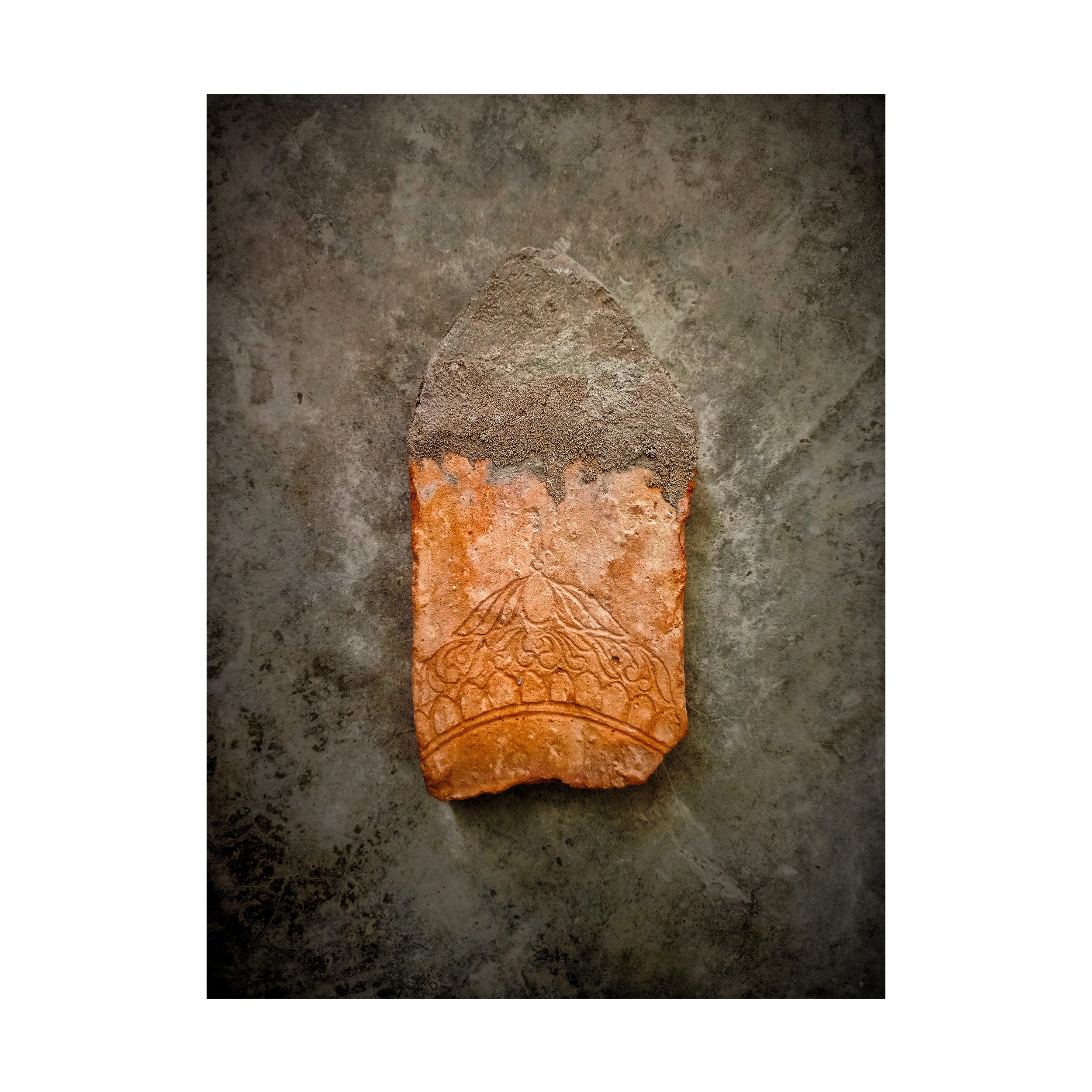 Fighting for Existence (Gate Series - Set of 8) by Syed Ali Sarvat Jafri