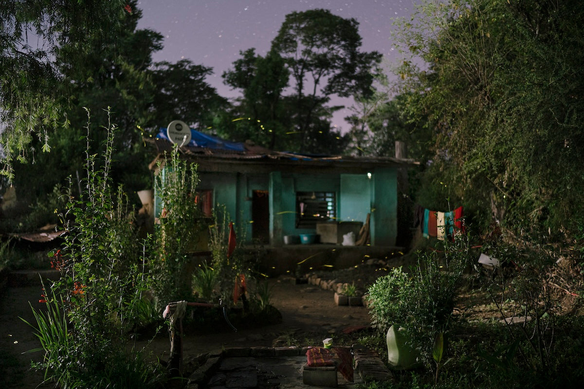Fireflies In The Mountains by Karan Khosla
