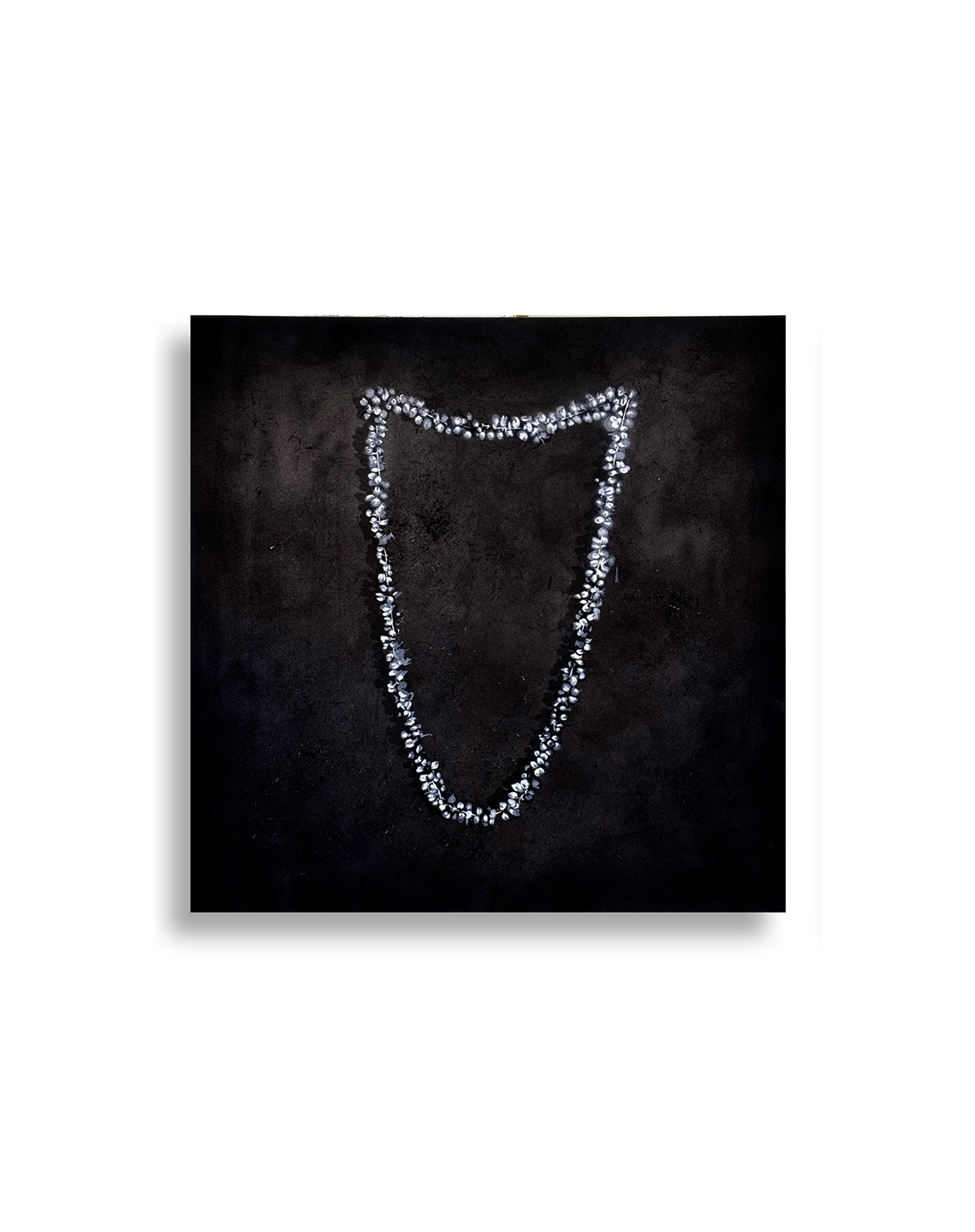 Fragrance of Flower by Bhanu Shrivastav