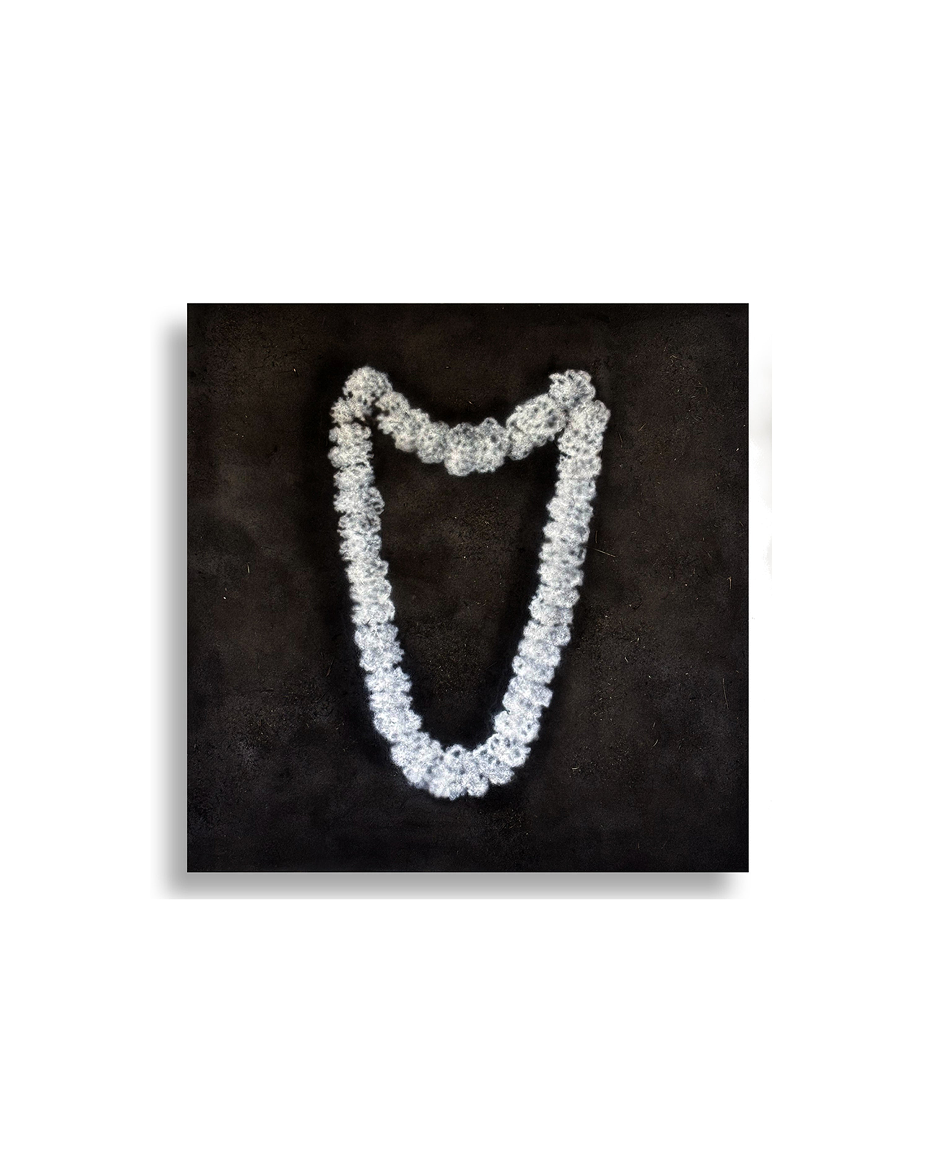 Fragrance of Flower by Bhanu Shrivastav