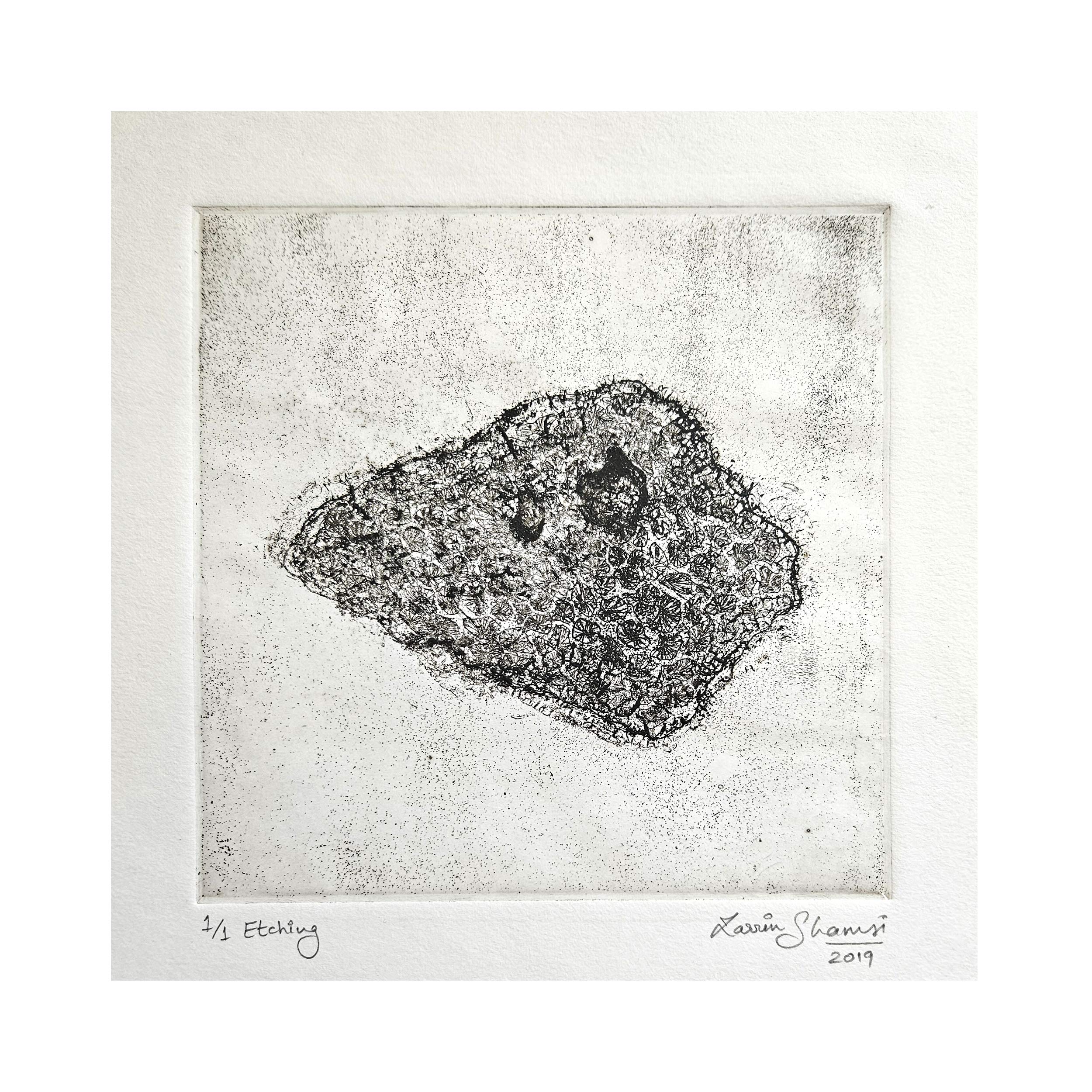 From the Sea (1/3) by Zarrin-Fatima Shamsi