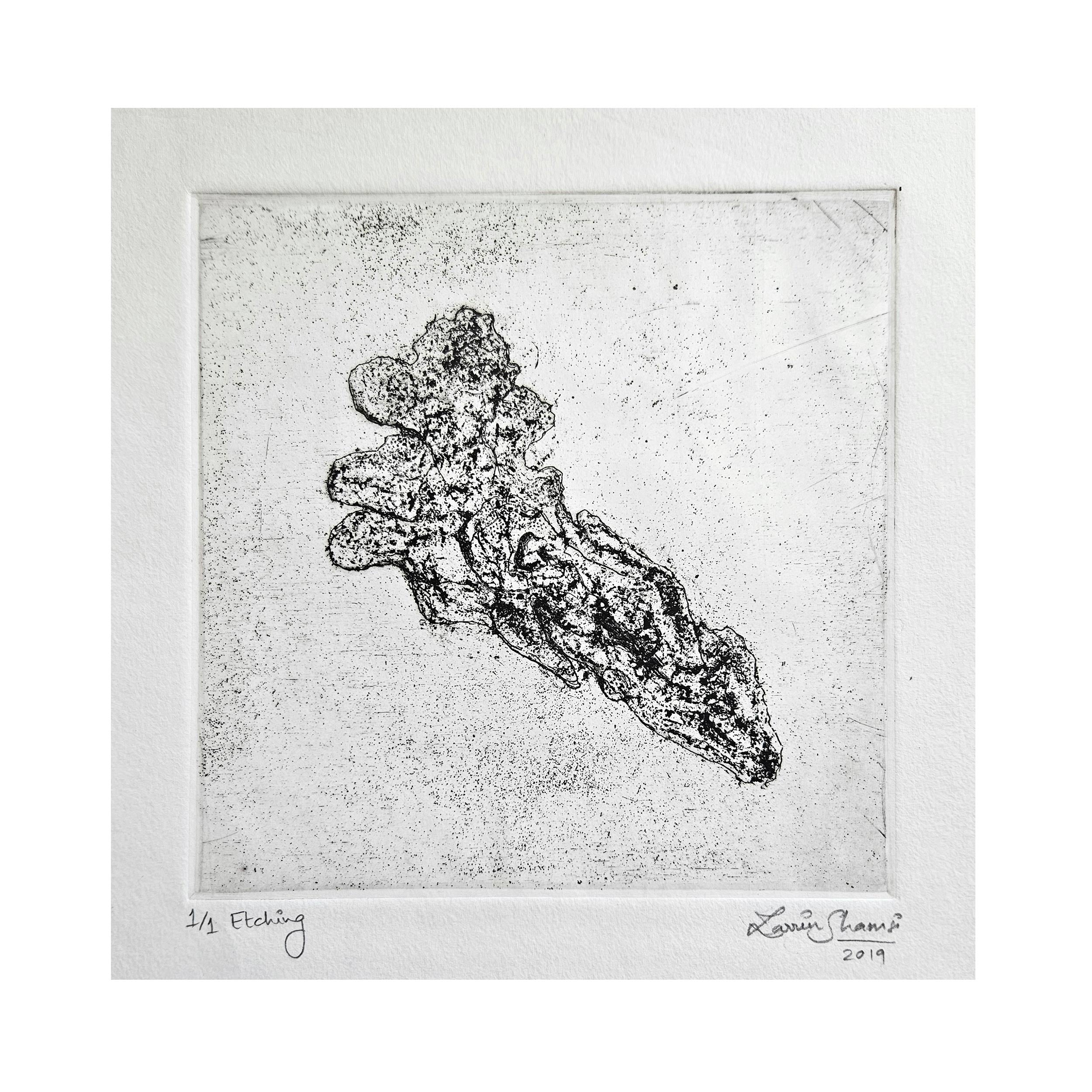 From the Sea (2/3) by Zarrin-Fatima Shamsi