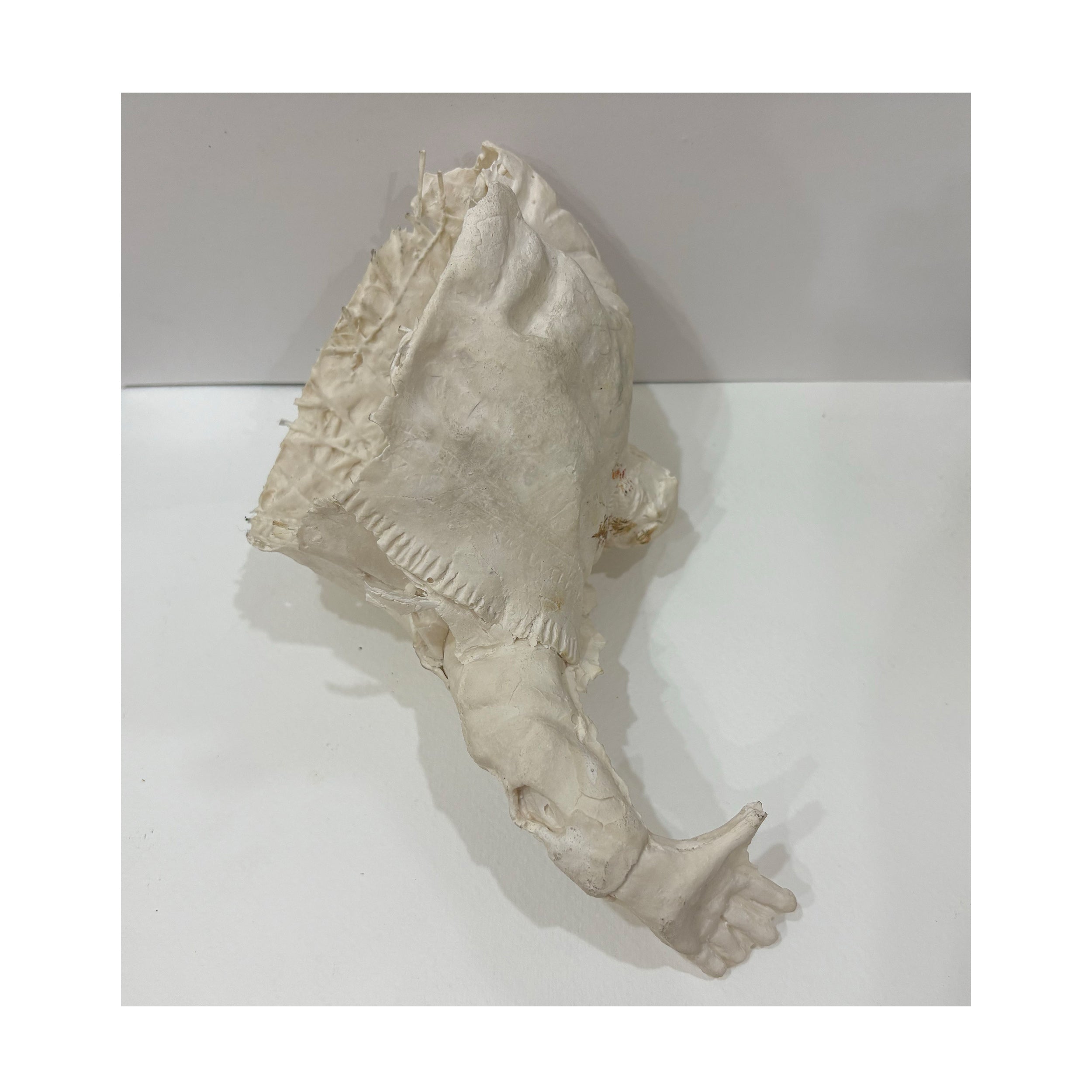 Politician 3 (Toys series)  by Ragini Chawla