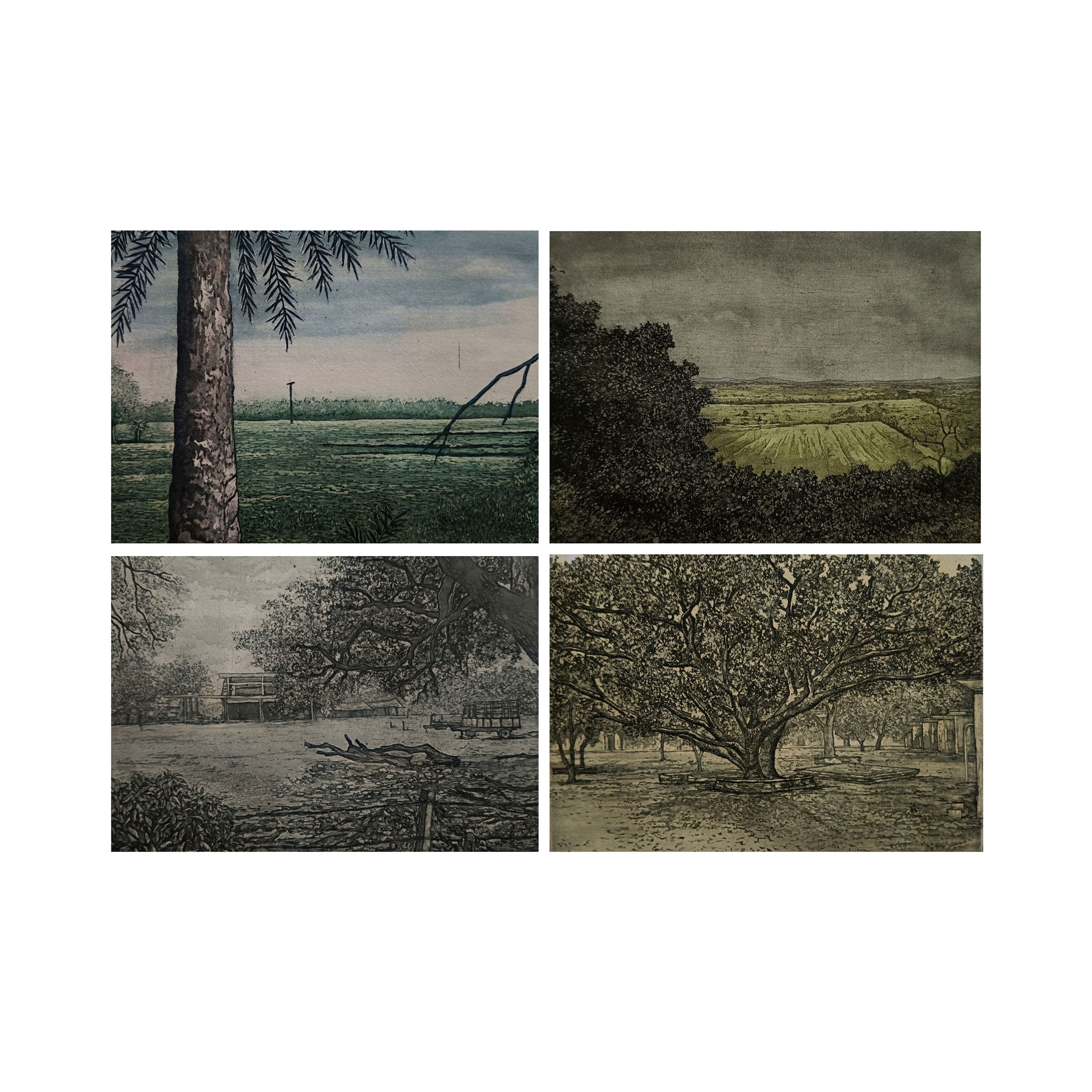 Shantiniketan - 2 (Set of 4) by Sumesh Bareek