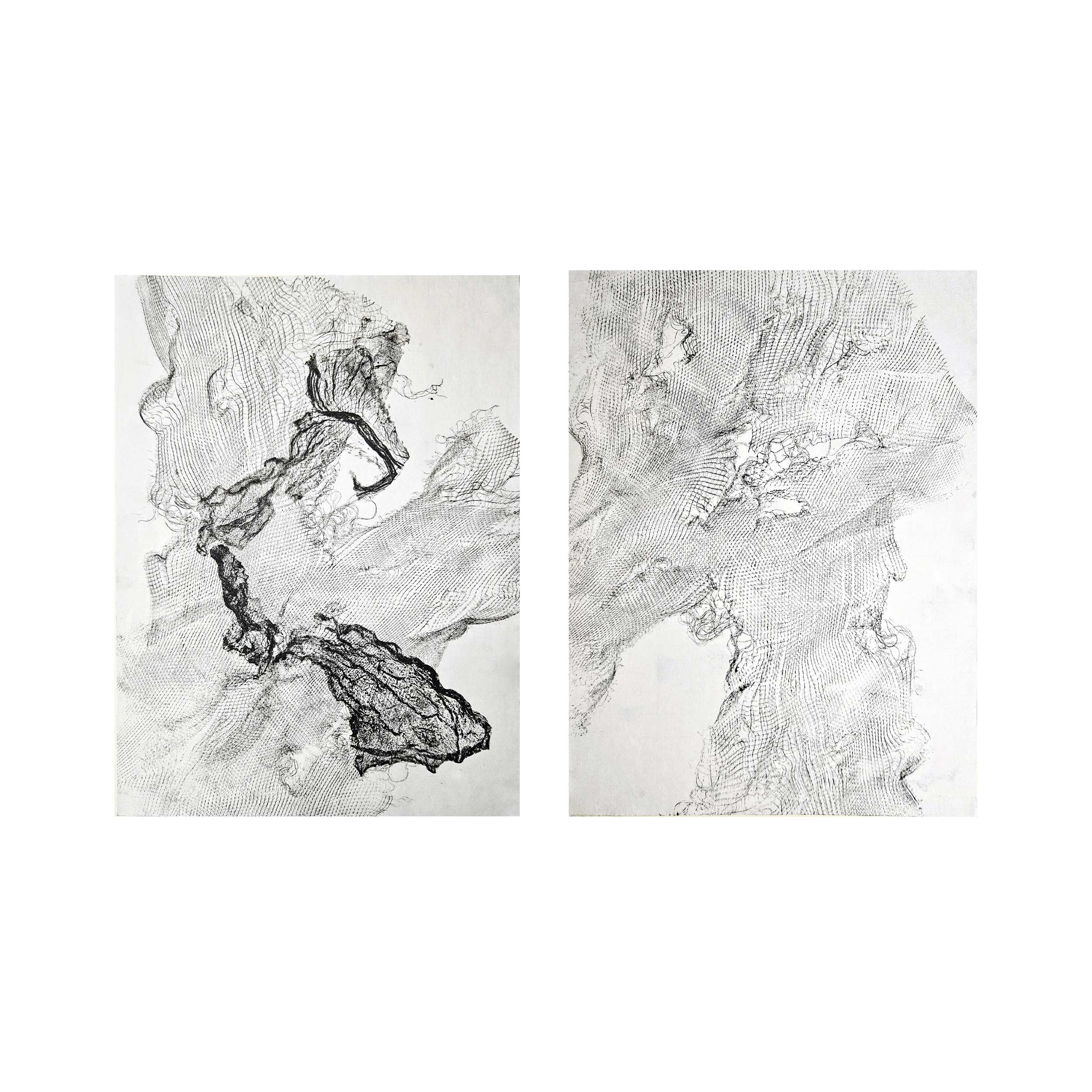 Traces of the Unwanted (Set of 2) by Zarrin-Fatima Shamsi