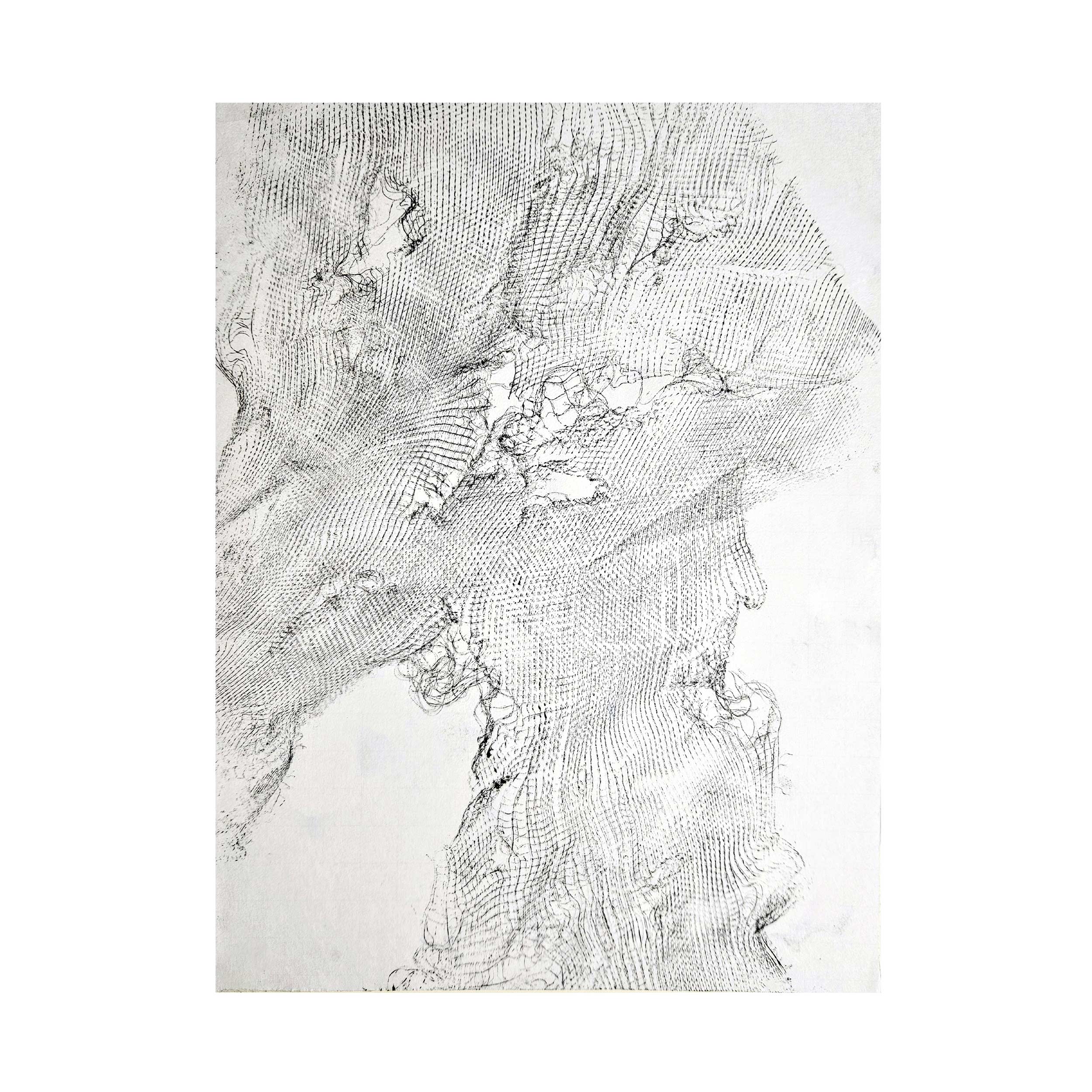 Traces of the Unwanted (Set of 2) by Zarrin-Fatima Shamsi