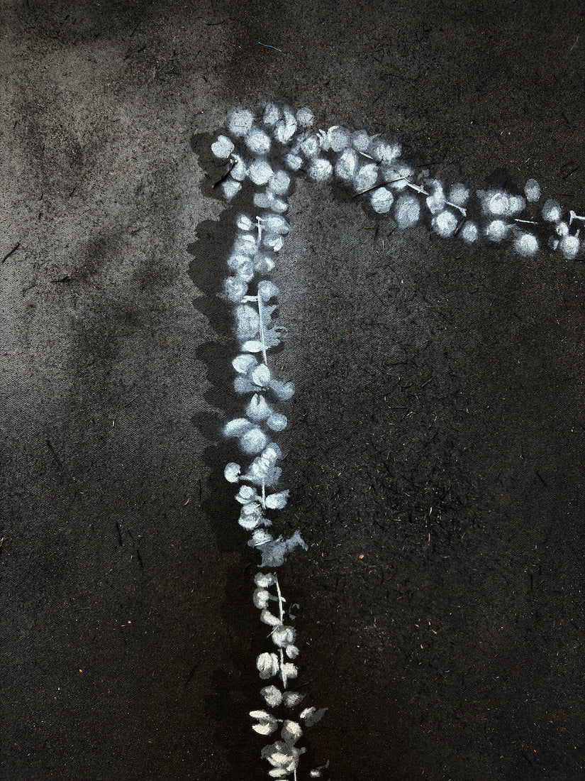 Fragrance of Flower by Bhanu Shrivastav