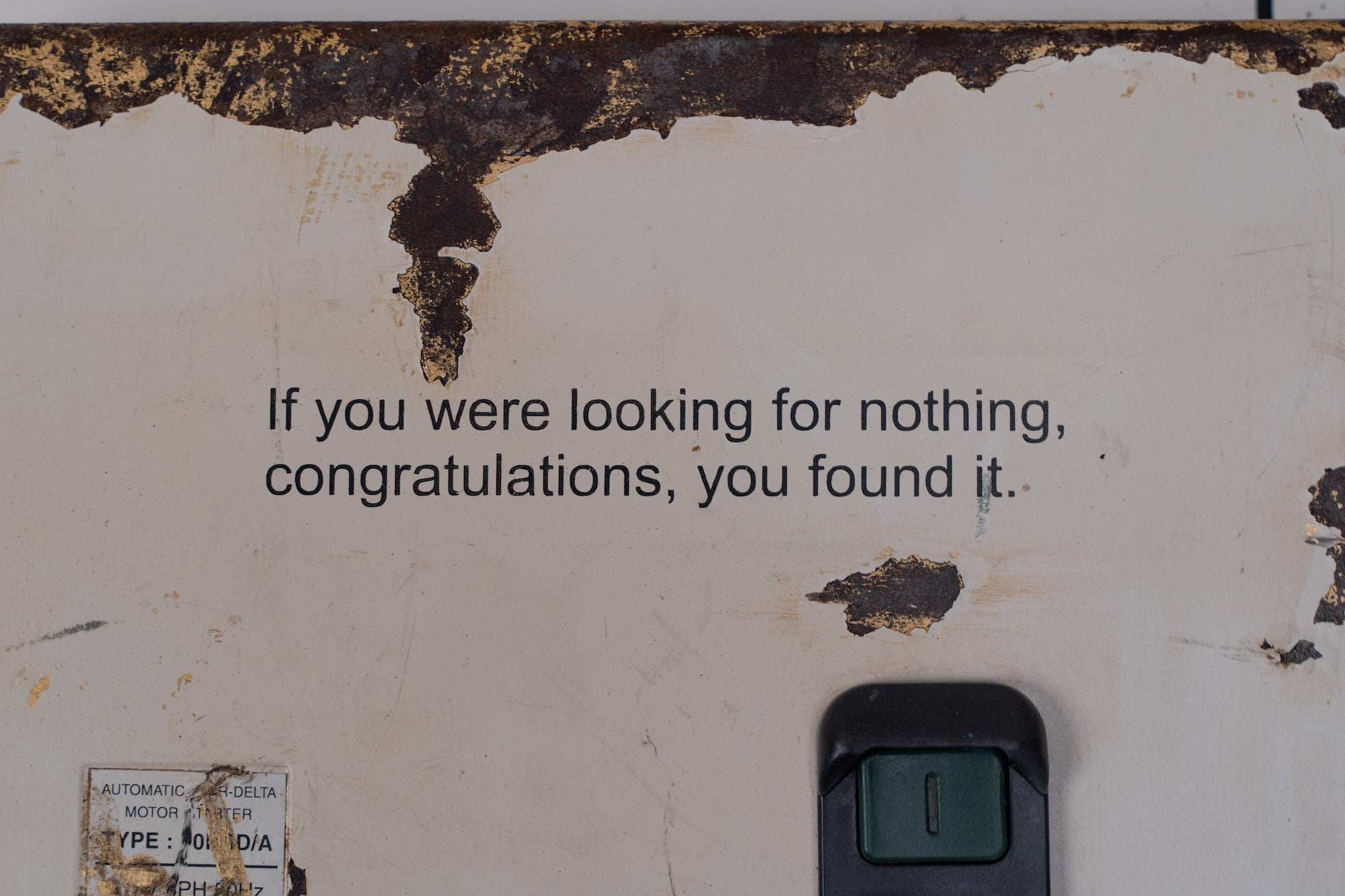 "If You're Looking For Nothing, Congratulations! You Found It" by Tyler
