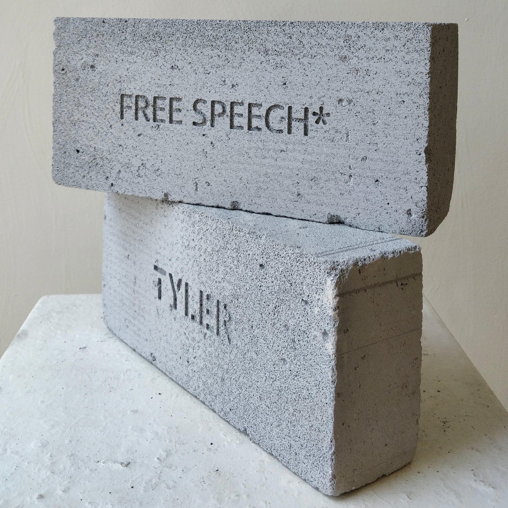 Free Speech* | Art Brick by Tyler