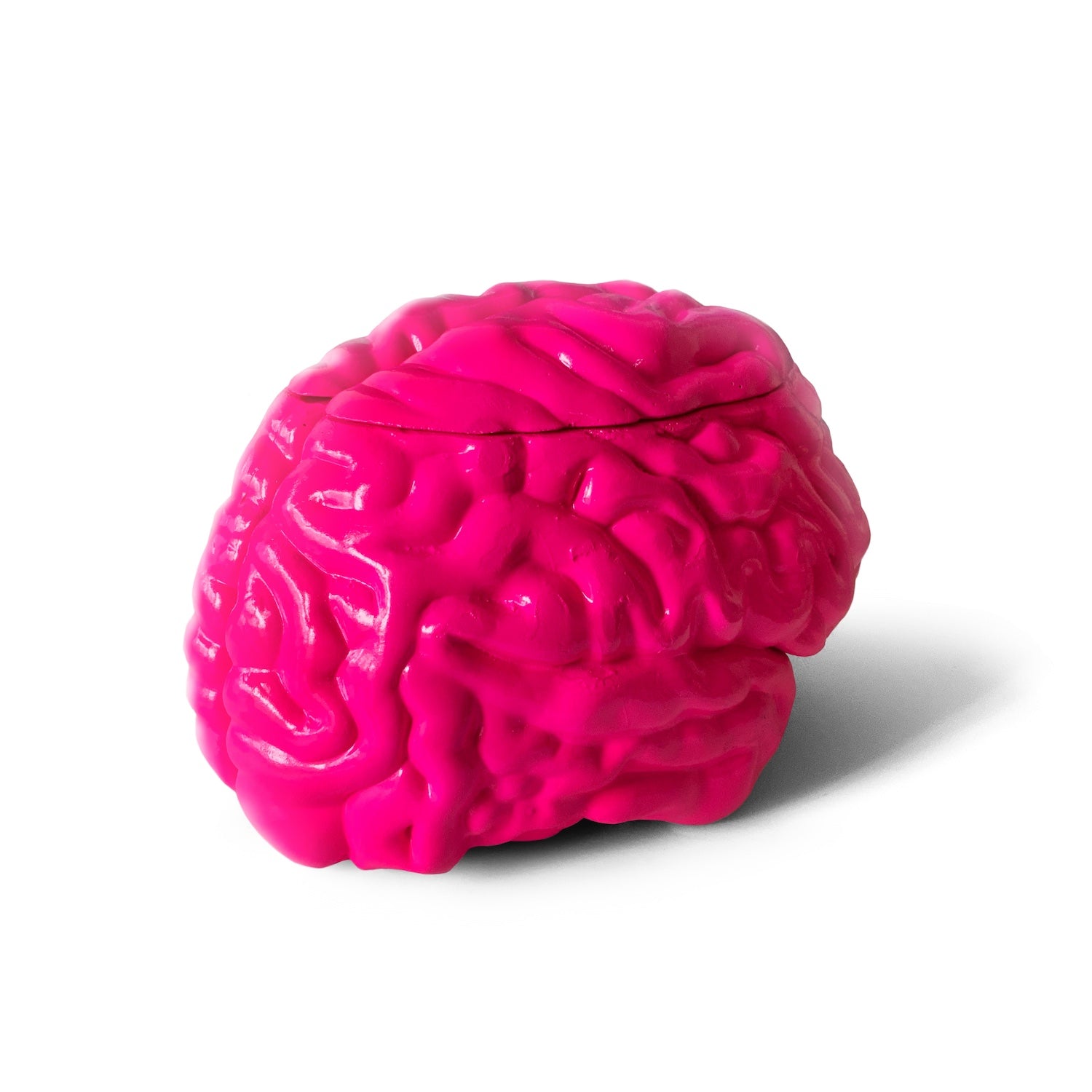 Scatter Brain (Pink) | Limited Edition Collectible by Sid G (toosid) - Method