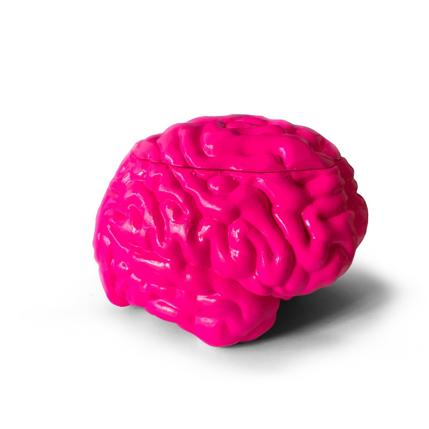 Scatter Brain (Pink) | Limited Edition Collectible by Sid G (toosid)