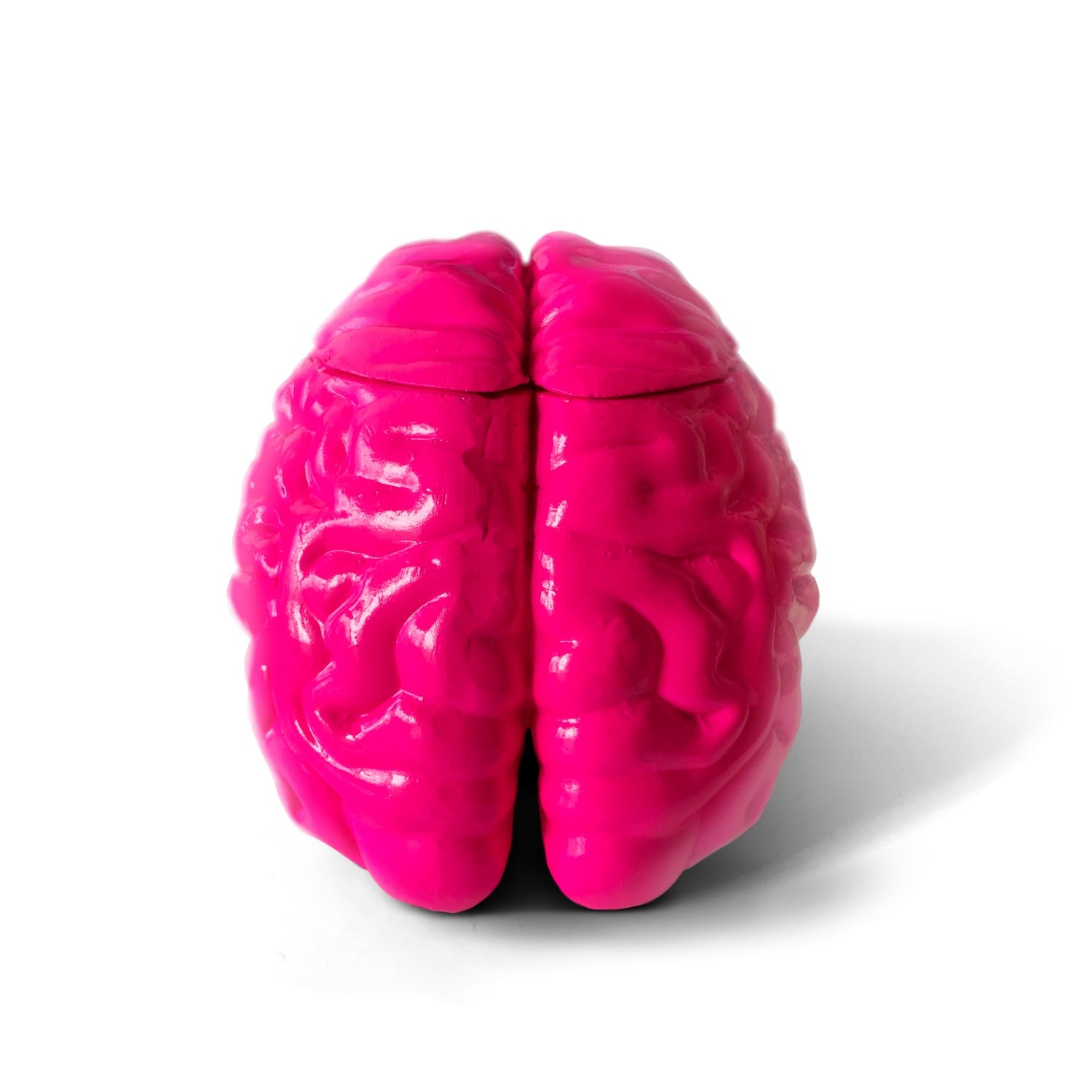 Scatter Brain (Pink) | Limited Edition Collectible by Sid G (toosid)