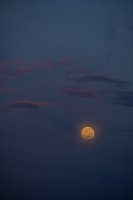 Moon 04 by Aashim Tyagi