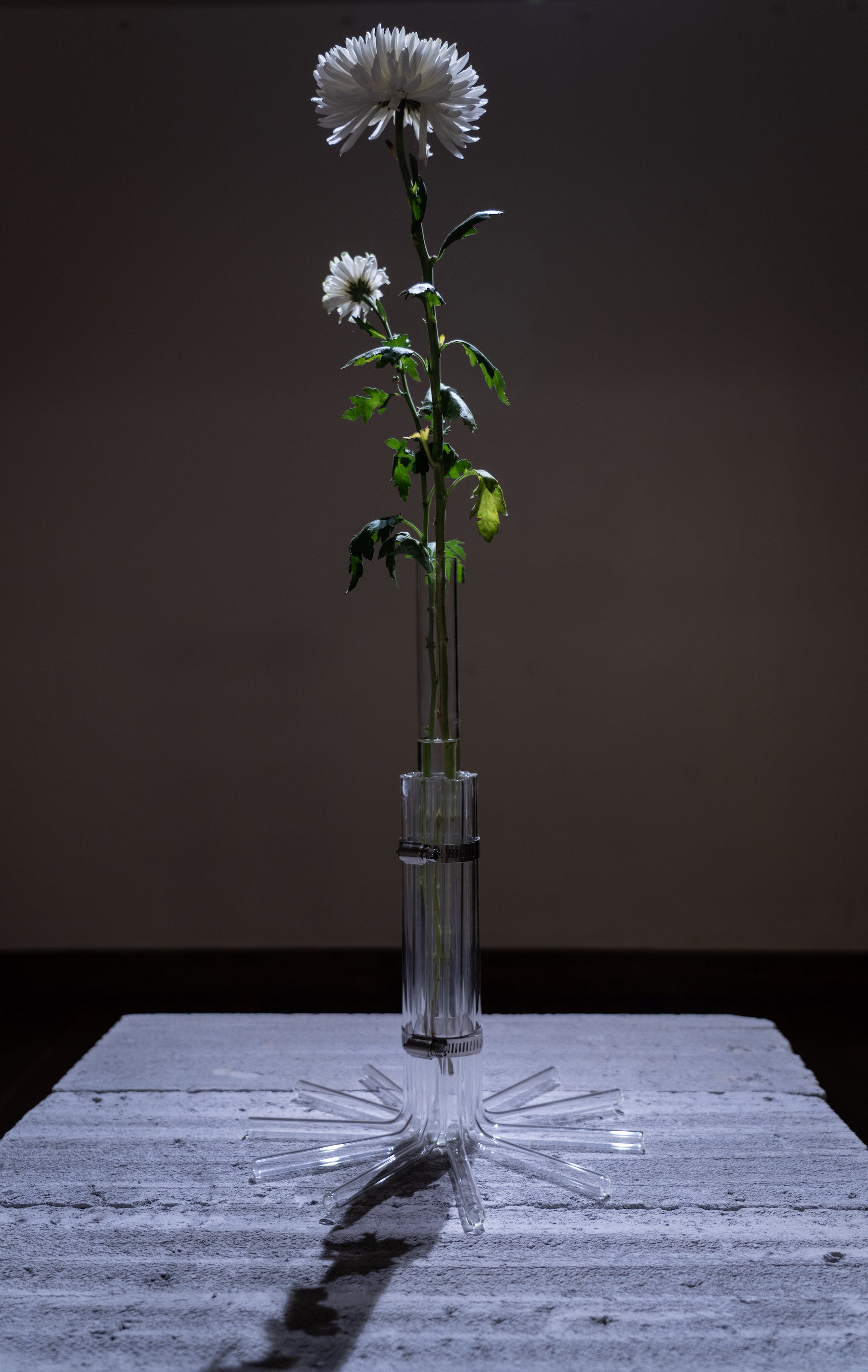 Vase 5 by Yaazd Contractor - Method